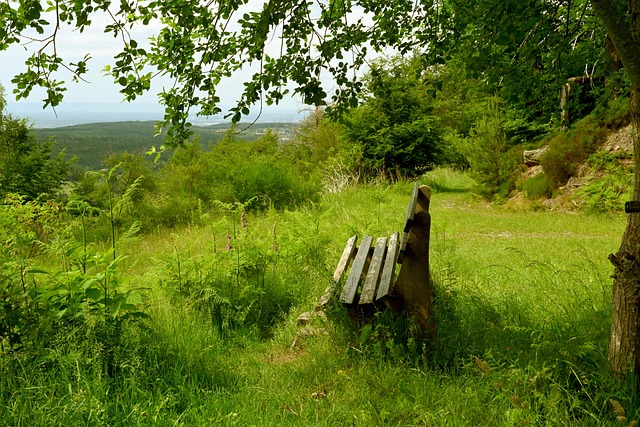 手感火热！小波特半场三分7中4，狂砍22分，带队领先对手