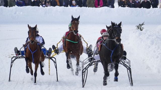 弗兰克：获胜后热刺晋级形势大好，西蒙斯延续了自身好状态
